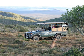 Kuzuko Lodge