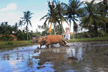 Furamaxclusive Resort & Villas, Ubud