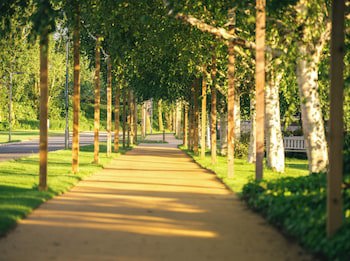 The Waterfront Hotel Spa & Golf