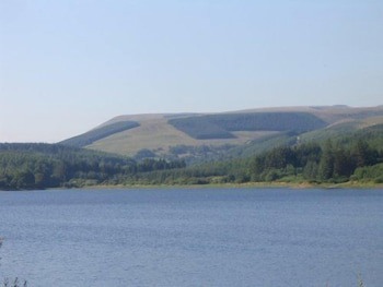 Llwyn Onn Guest House