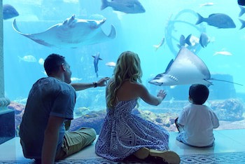 The Reef At Atlantis