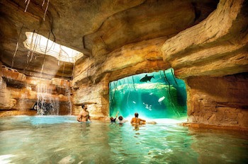 The Reef At Atlantis