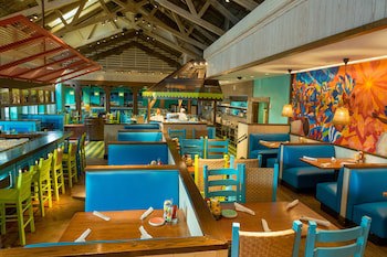 The Reef At Atlantis