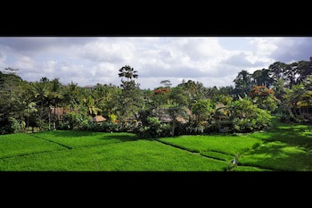 Arma Museum & Resort