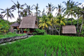 Arma Museum & Resort