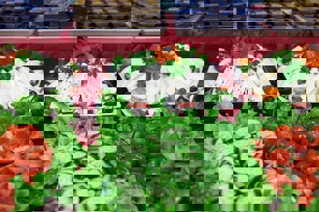 Sogut Hotel Old City