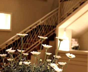 Astoria Vico Hotel galeri fotoğrafı