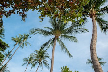 Buri Rasa Village Samui