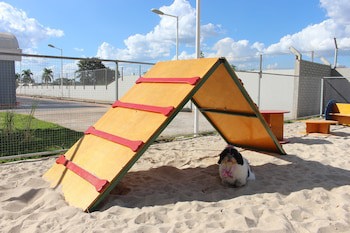 Ibis Styles Rio Preto Monte Libano