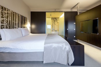 Ramada Plaza By Wyndham Bucharest Convention Center