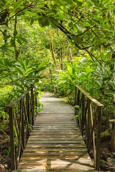 Fond Doux Eco Resort
