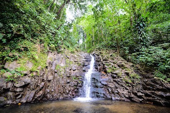Fond Doux Eco Resort
