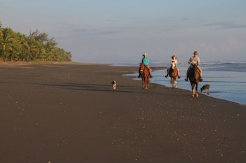 Hotel Playa Bejuco