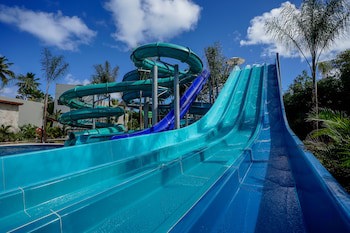 Dreams Royal Beach Punta Cana - All Inclusive