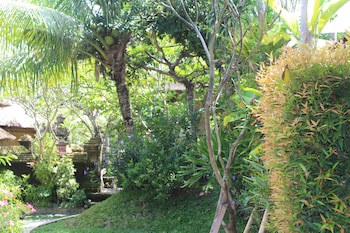 Bali Agung Village