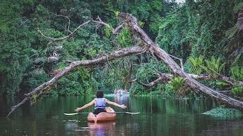 Tortuga Lodge