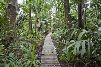 Tortuga Lodge