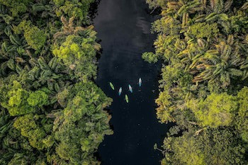 Tortuga Lodge