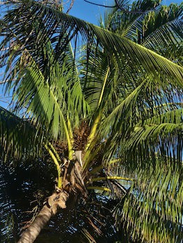 Fumba Beach Lodge