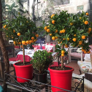 Hotel Gabbia dOro galeri fotoğrafı