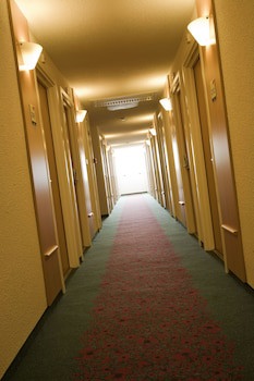 Ibis Cotonou