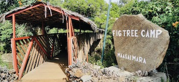 Fig Tree Camp