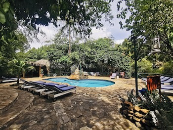 Fig Tree Camp