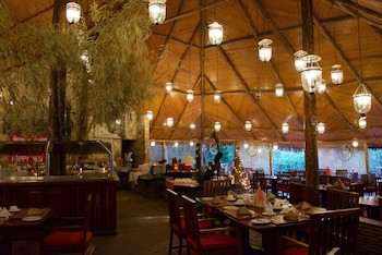 Fig Tree Camp