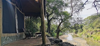 Fig Tree Camp