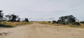 Fig Tree Camp
