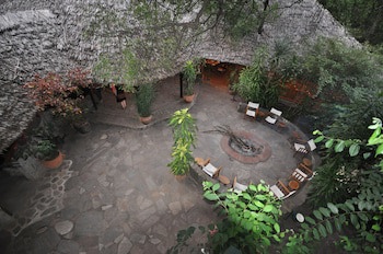 Fig Tree Camp
