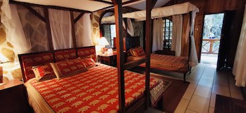 Fig Tree Camp