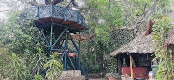 Fig Tree Camp