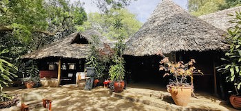 Fig Tree Camp