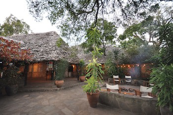 Fig Tree Camp