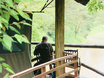 Fig Tree Camp