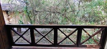 Fig Tree Camp