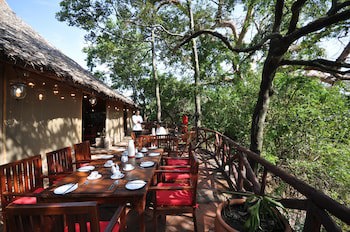 Fig Tree Camp