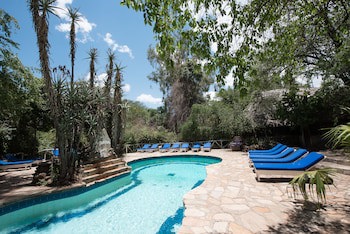 Fig Tree Camp