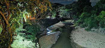 Fig Tree Camp
