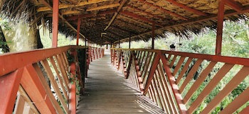 Fig Tree Camp