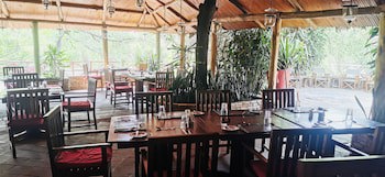 Fig Tree Camp