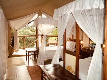 Fig Tree Camp