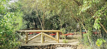 Fig Tree Camp