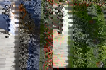 Four Seasons Hotel Istanbul At The Bosphorus