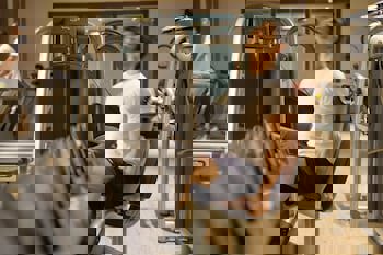 Four Seasons Hotel Istanbul At The Bosphorus