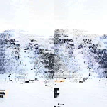 The Green Park Kartepe