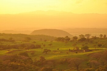 Buena Vista Del Rincon Eco Adventure Park, Hotel & Spa