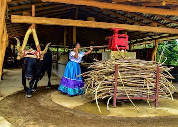 Buena Vista Del Rincon Eco Adventure Park, Hotel & Spa