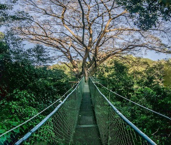 Buena Vista Del Rincon Eco Adventure Park, Hotel & Spa